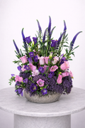Midnight Lavender Bloom